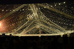 string canopy lights cafe tent park under tryon fort leaf suspended located clear inside backyard hanging bed