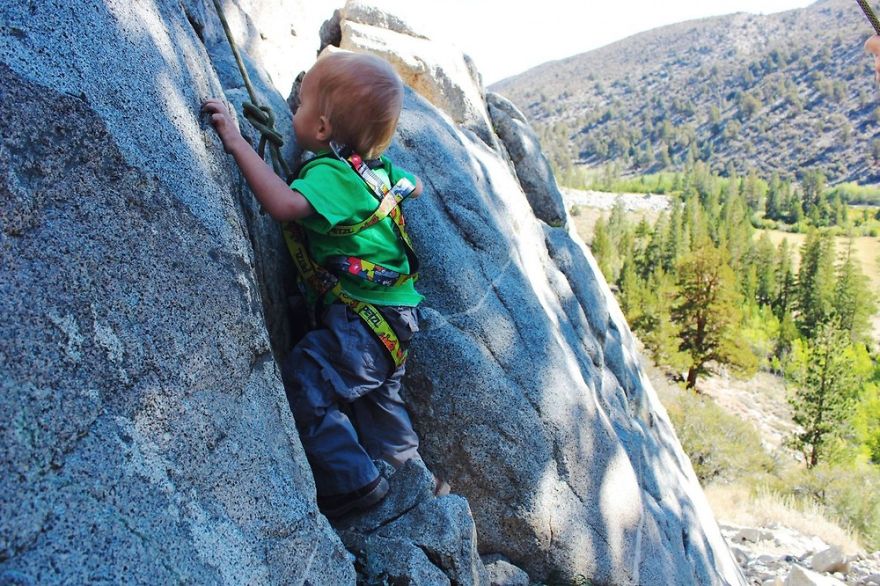 Before Turning 2 Years Old, Bodhi Hiked More Than 483 Km With His ...