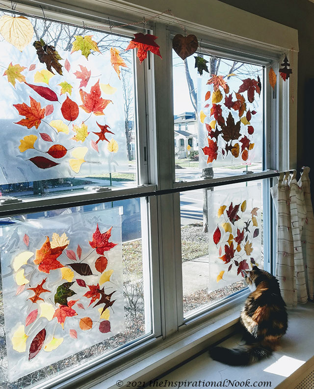 Leaf Craft Activities, Autumn Leaves craft, crafts with real leaves, autumn leaves art and craft, autumn leaf crafts preschool, autumn leaves arts and crafts, autumn leaf craft ideas for preschoolers, autumn leaves craft ideas, autumn leaves window stickers, fall leaves window clings, autumn window clings, diy window stickers, diy window cling art, craft from dry leaves, leaf suncatcher craft, autumn leaf suncatchers, leaf collecting and pressing, framing dried leaves, pressed autumn leaves, dried pressed leaves,