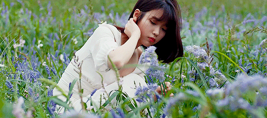 original%2B%25281%2529.gif