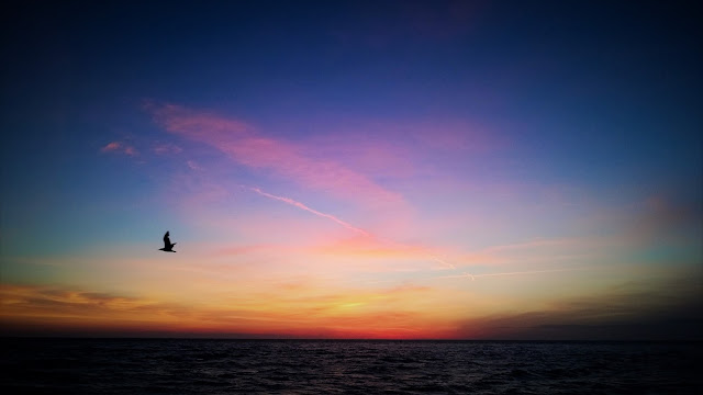 WP 20160712 20 31 31 Pro%2B%25282%2529 My personal opinion?  Treat it like any other debt.  Get rid of it as soon as you can.