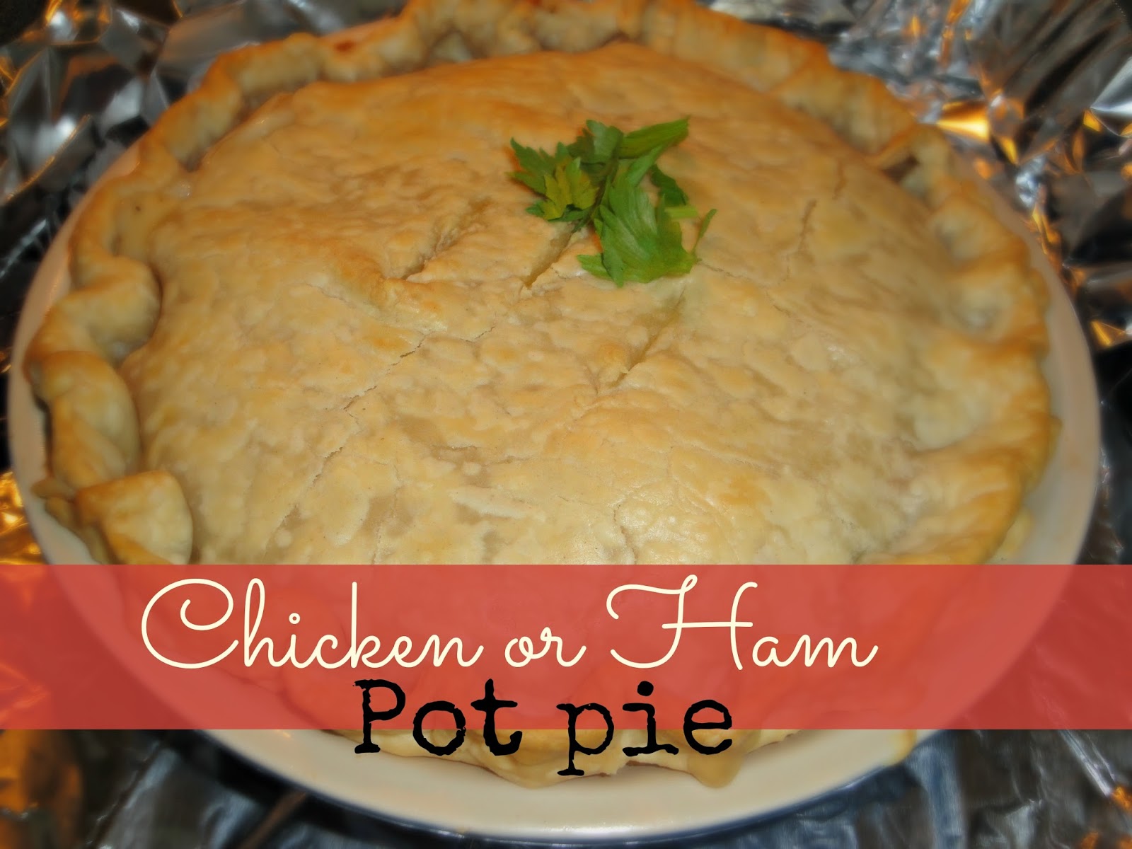 Sew it straight Chicken, or in my case Ham pot pie