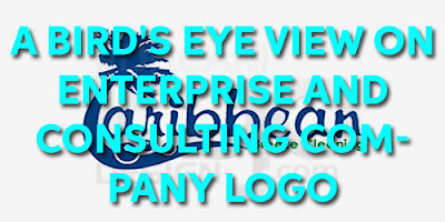 A Bird's Eye View On Enterprise And Consulting Company Logo