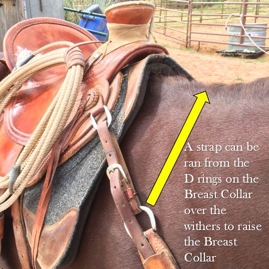 Functional Horsemanship Breast Collar Fit Question