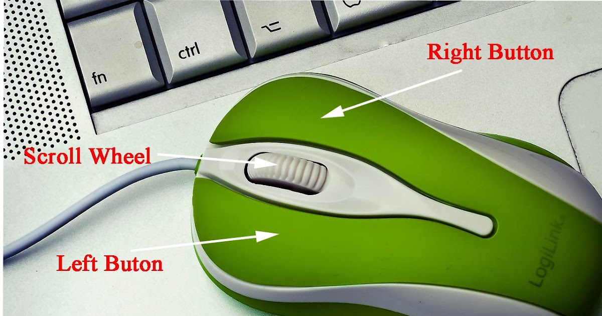 माउस क्या हैWhat is Mouse in Hindi?