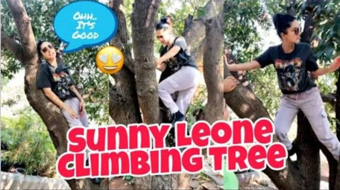 sunny leone climbing on tree