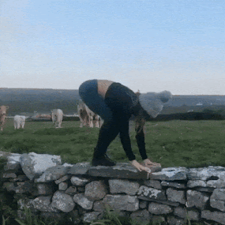 20200304215132_51e36d7638130adde1475ecc8