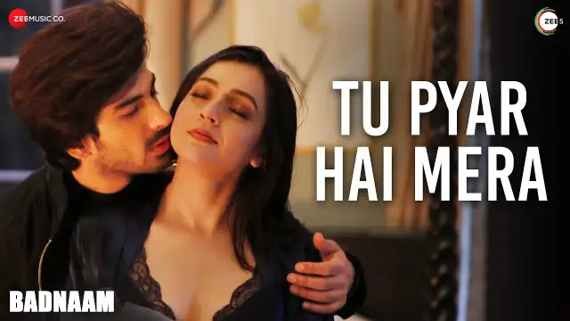 Tu Pyar Hai Mera Lyrics In English - Yasser Desai | Priyal Gor & Mohit Sehgal | Badnaam