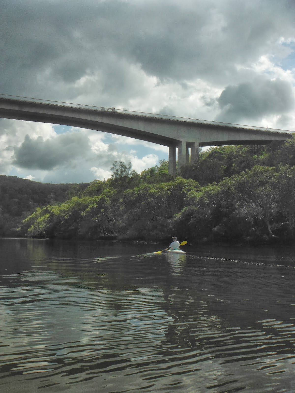 The Way of the Frog Exploring the Mooney Mooney Creek.
