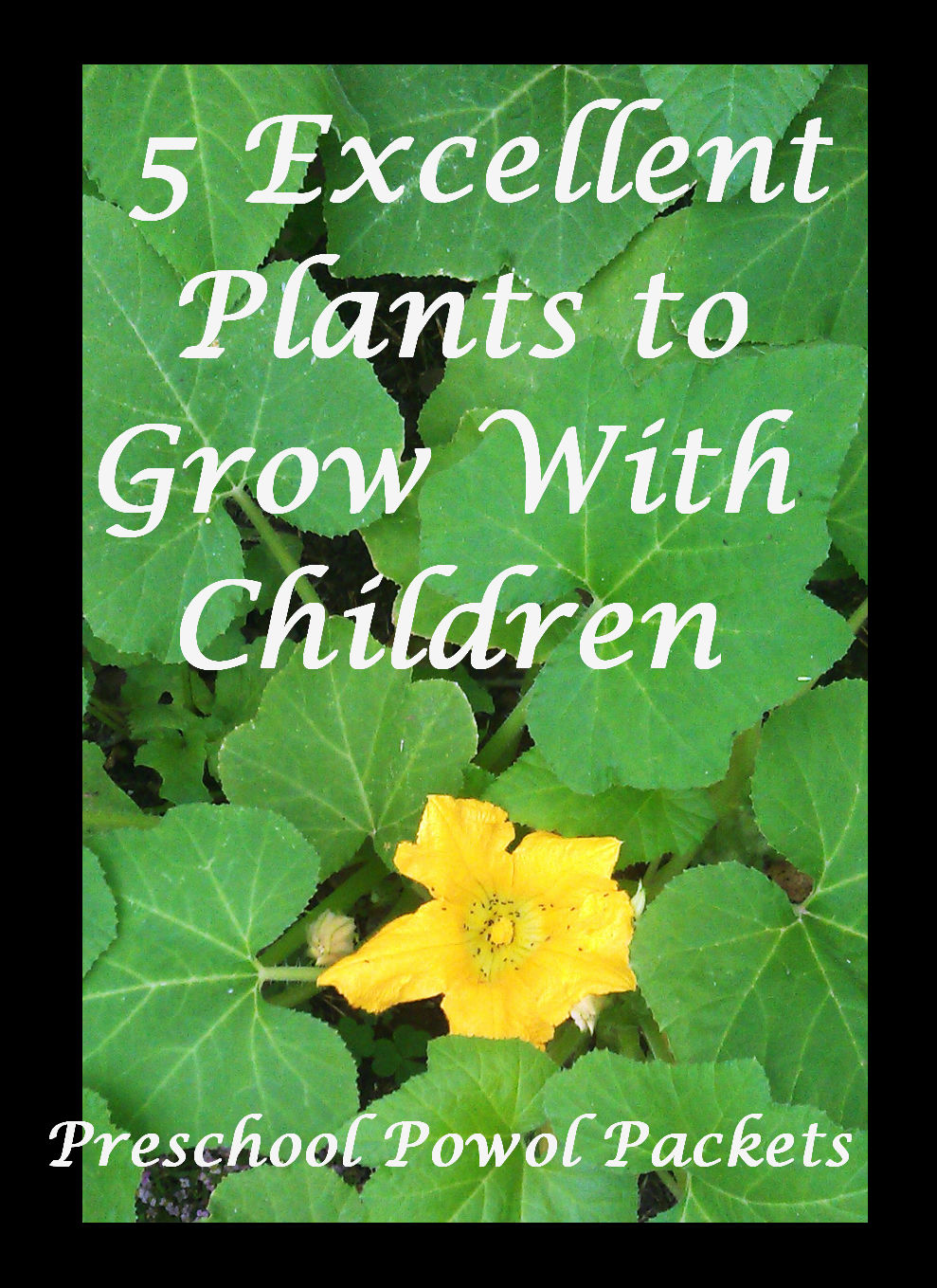 5 Excellent Plants to Grow With Kids & An Object Lesson! | Preschool ...