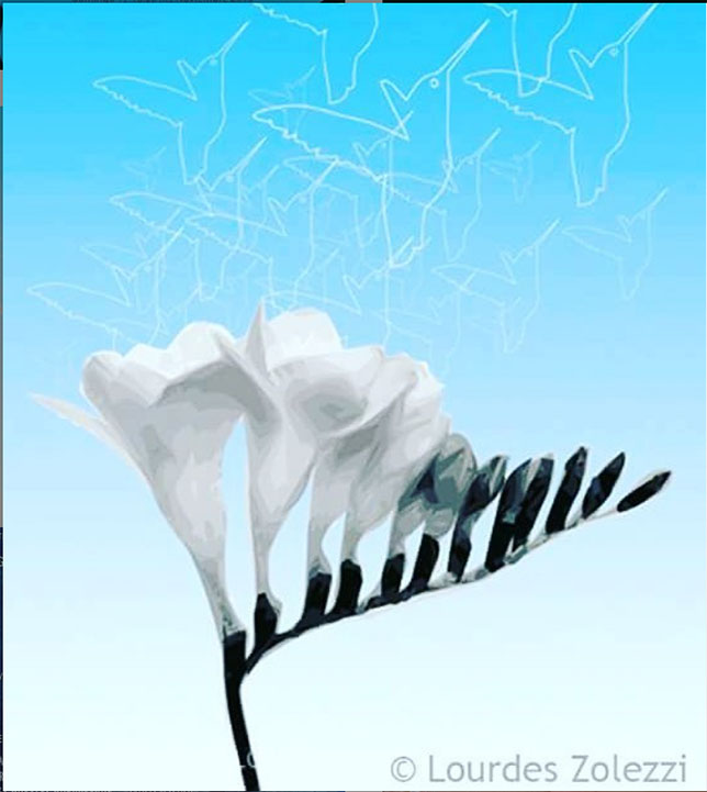 Artist of the day Artist of the day, August 11, 2020 Lourdes Zolezzi