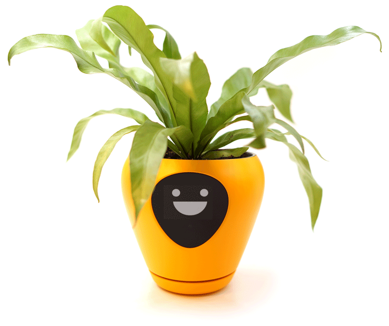 Lua Smart Planter By Mu Design