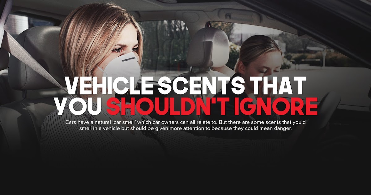 The Cars Blog Vehicle Scents That You Shouldn’t Ignore