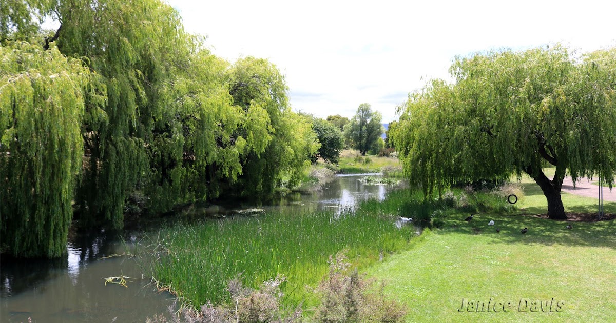 thoughts & happenings Campbell Town, Tasmania
