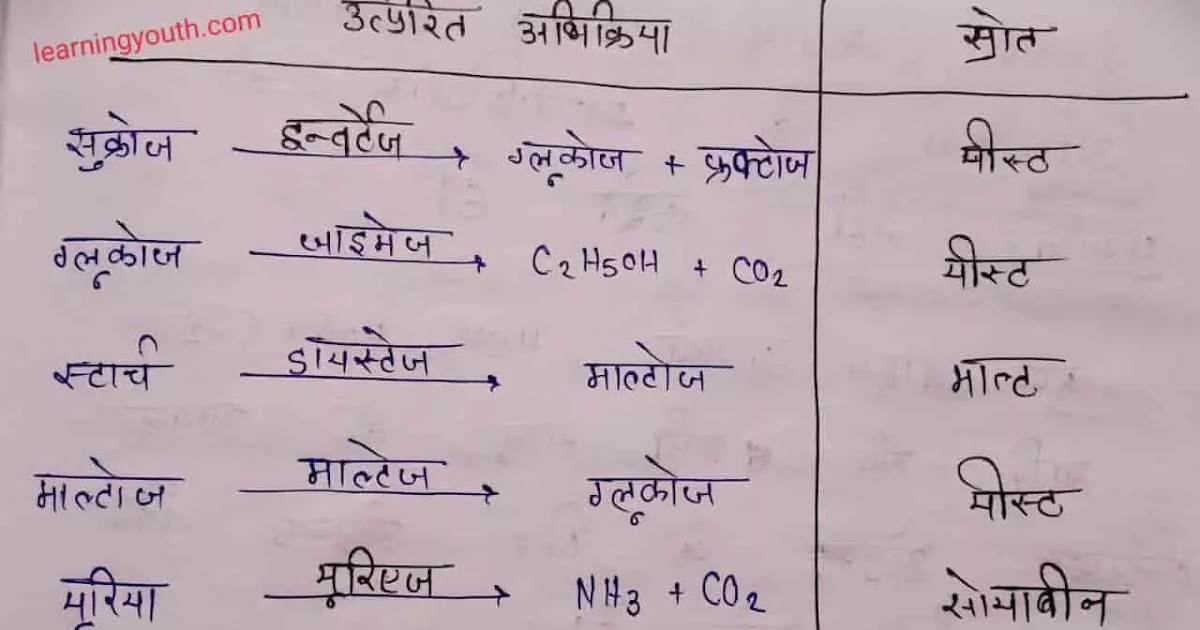एंजाइम उत्प्रेरक किस कहते हैं Enzyme catalysis in Hindi NCERT Based