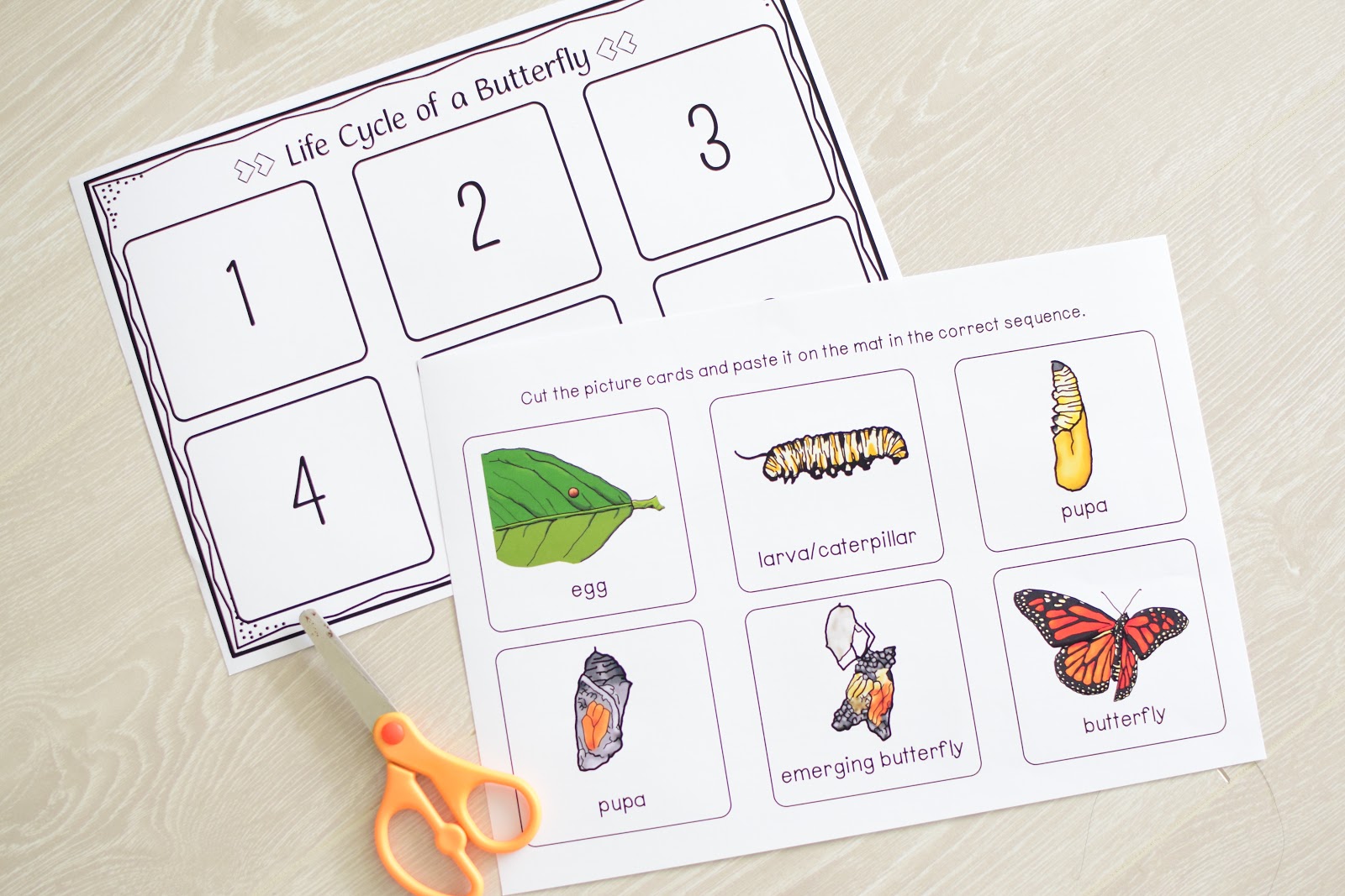 Insect Themed Lesson Plans for Kindergarten to First Grade | The Pinay