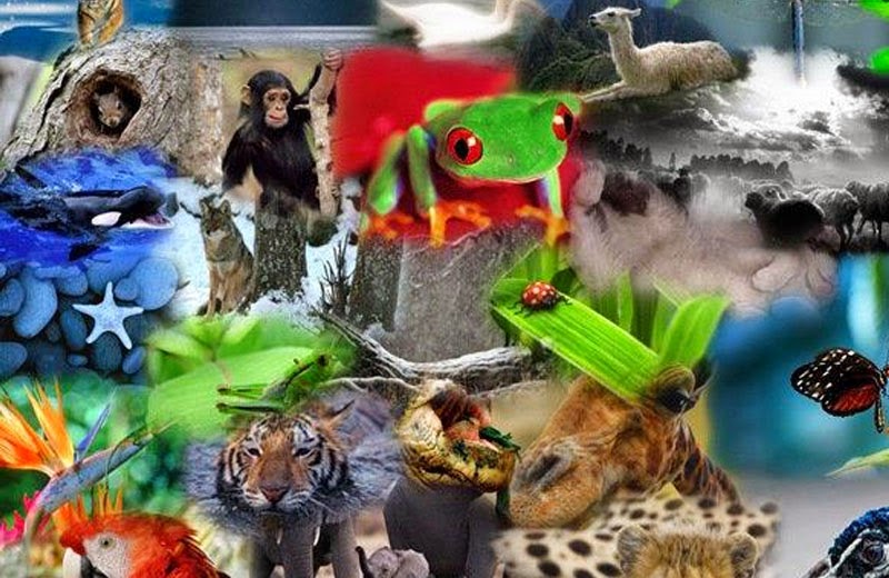 Trascendental Taxonomía y Biodiversidad