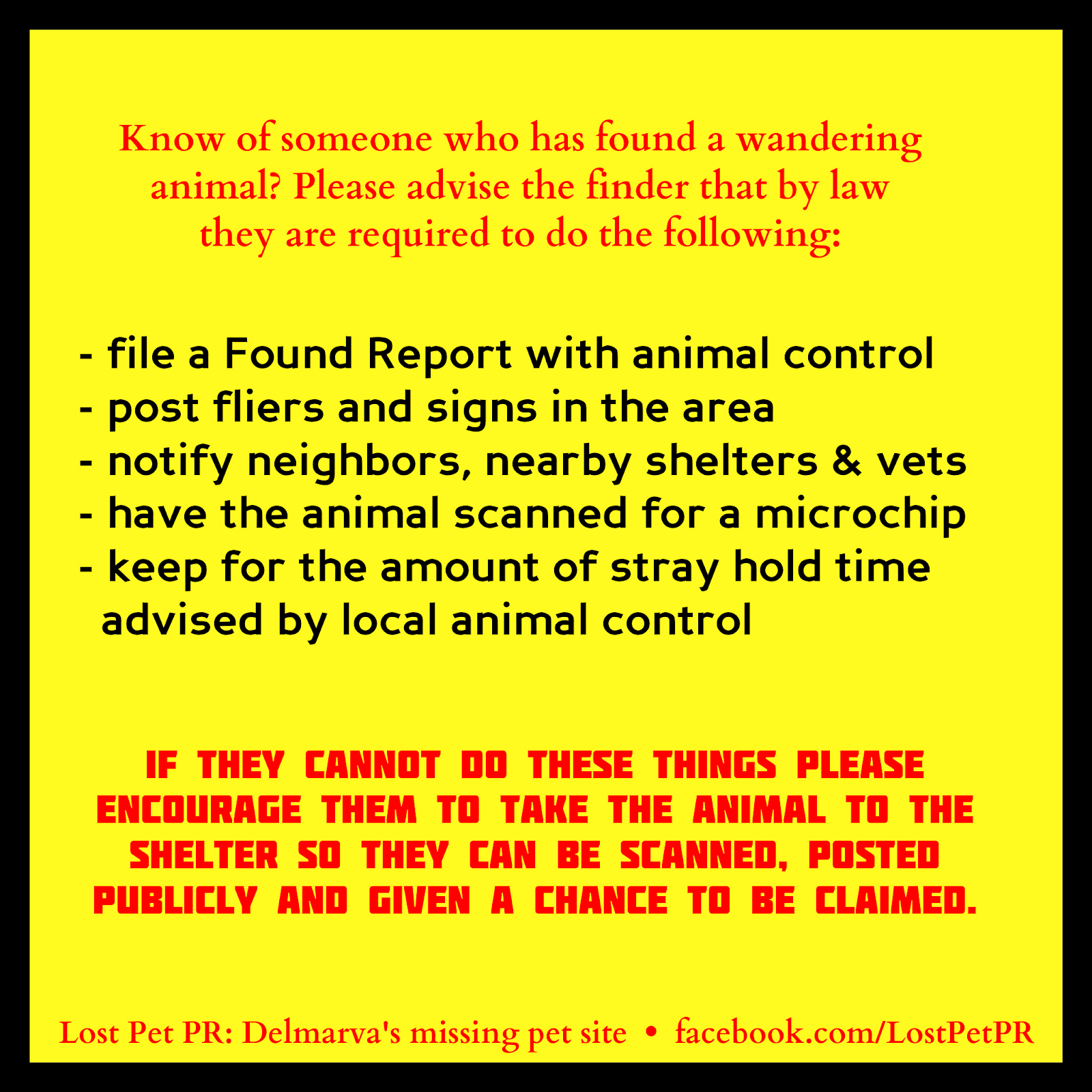 Lost Pet PR Delmarva's Lost and Found Pet Network Found A Loose or