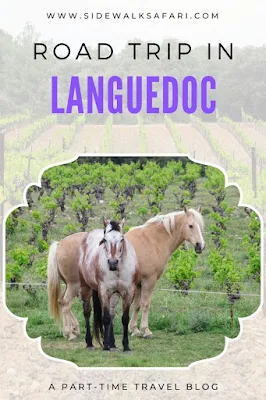 Things to do in Languedoc by Car