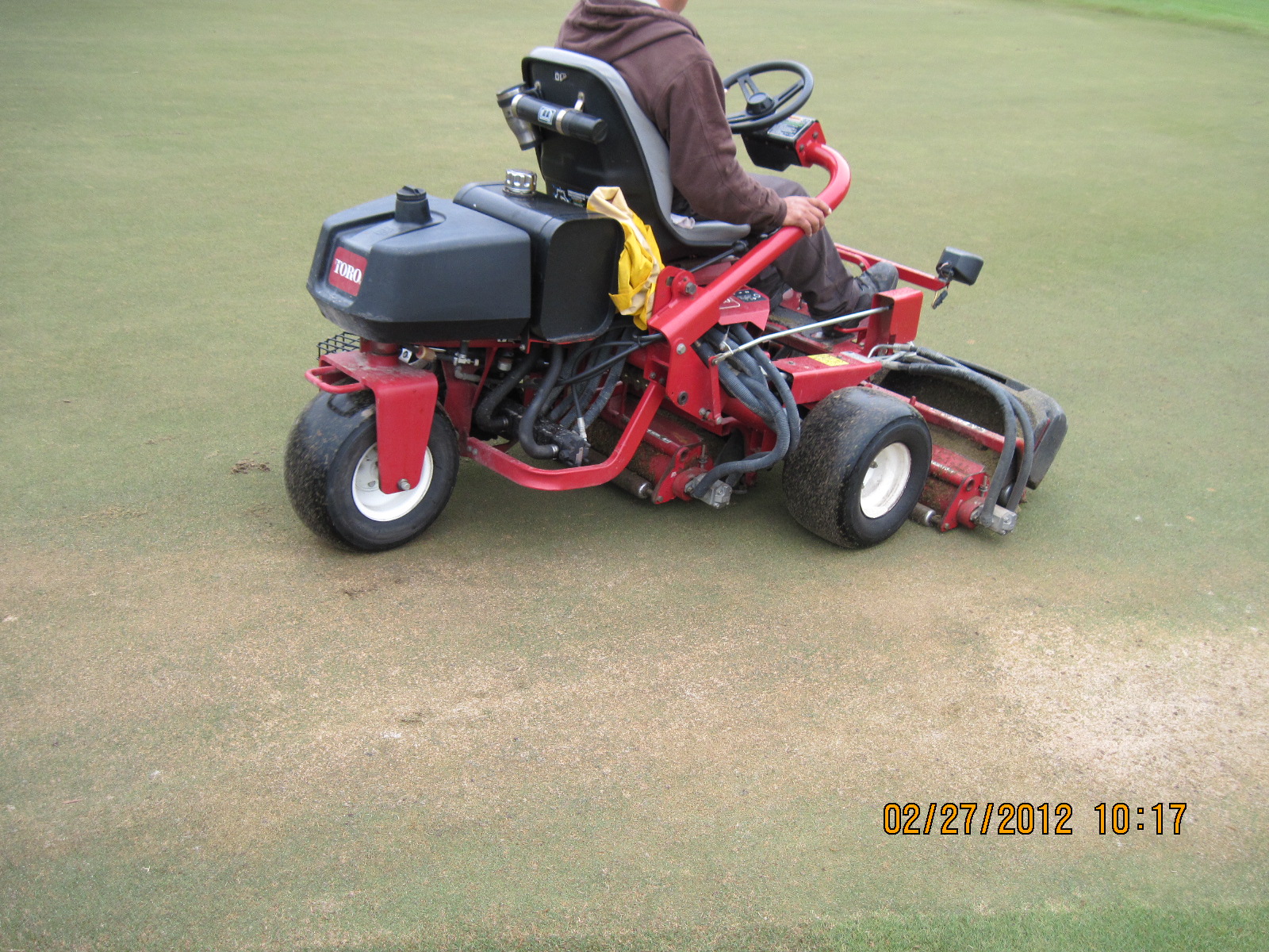 Bay Oaks Country Club Golf Course Maintenance Verticutting and