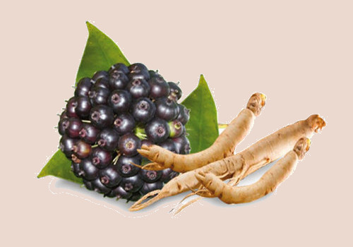 Siberian Ginseng reducing cholesterol levels