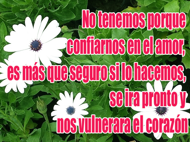 No tenemos porque confiarnos en el amor, es más que seguro si lo hacemos, se ira pronto y nos vulnerara el corazón No tenemos porque confiarnos en el amor, es más que seguro si lo hacemos, se ira pronto y nos vulnerara el corazón