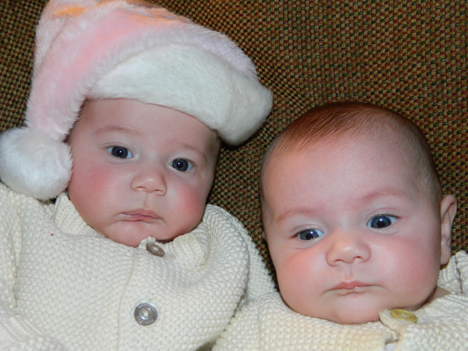 what-happens-at-grandma-s-grandma-s-third-annual-christmas-cookie