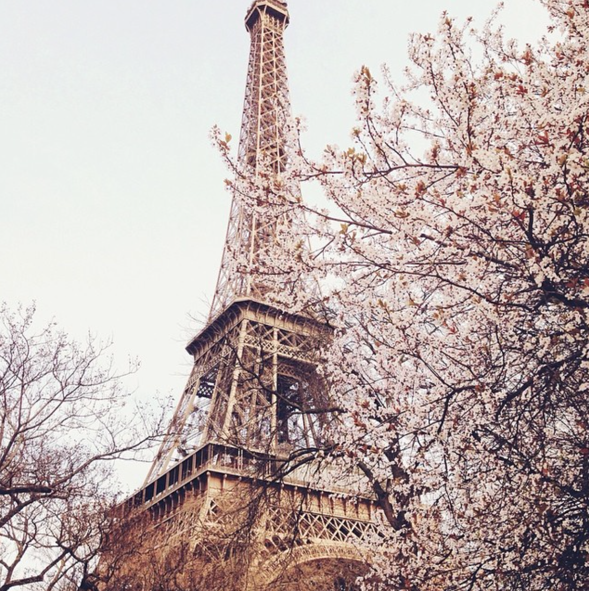 Апрель париж Апрель париж