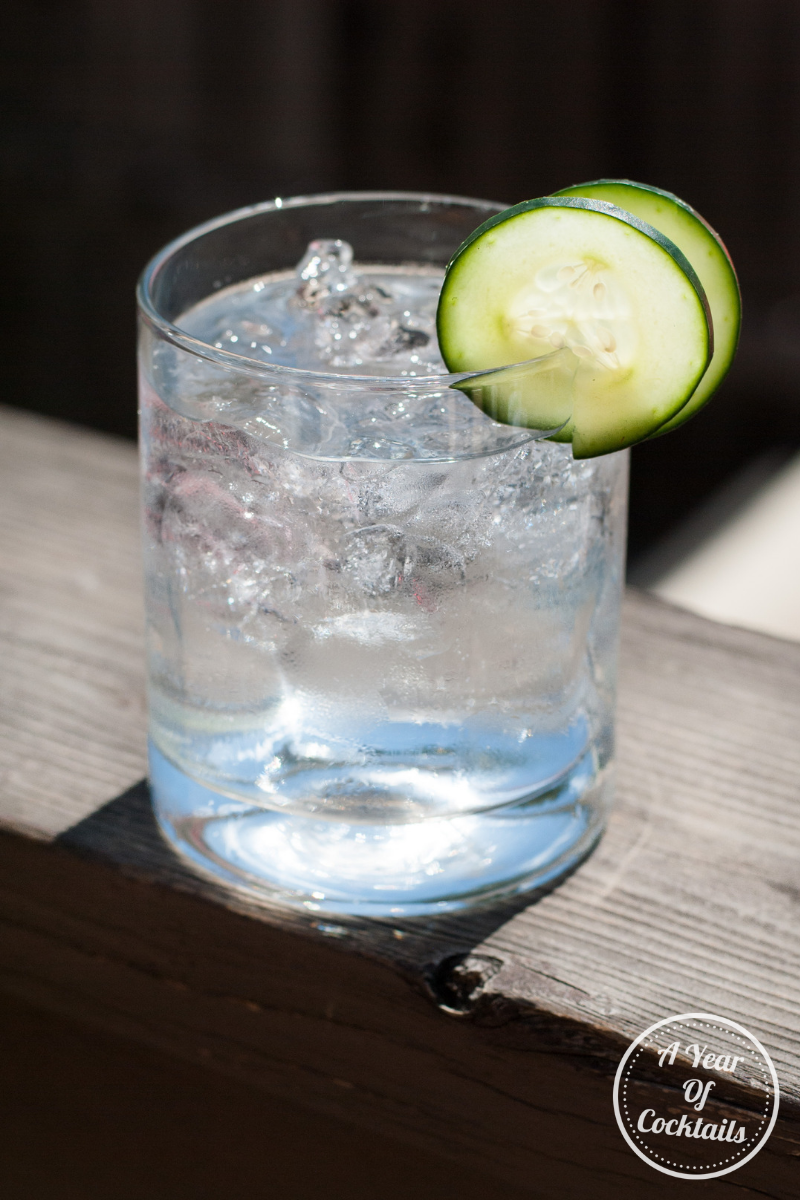 2 New Zero Sugar Vodka Soda Recipes A Year of Cocktails