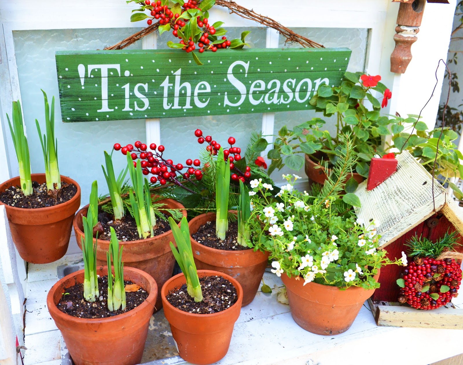 My Painted Garden Christmas Traditions / Garden Gifts Gardening Christmas