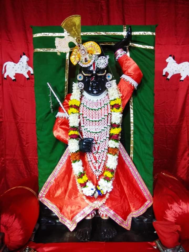 Nathdwara na darshan image