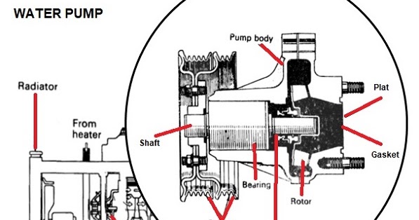 Fungsi, Komponen, dan Cara Kerja Water Pump Mobil - Sekolah Kami