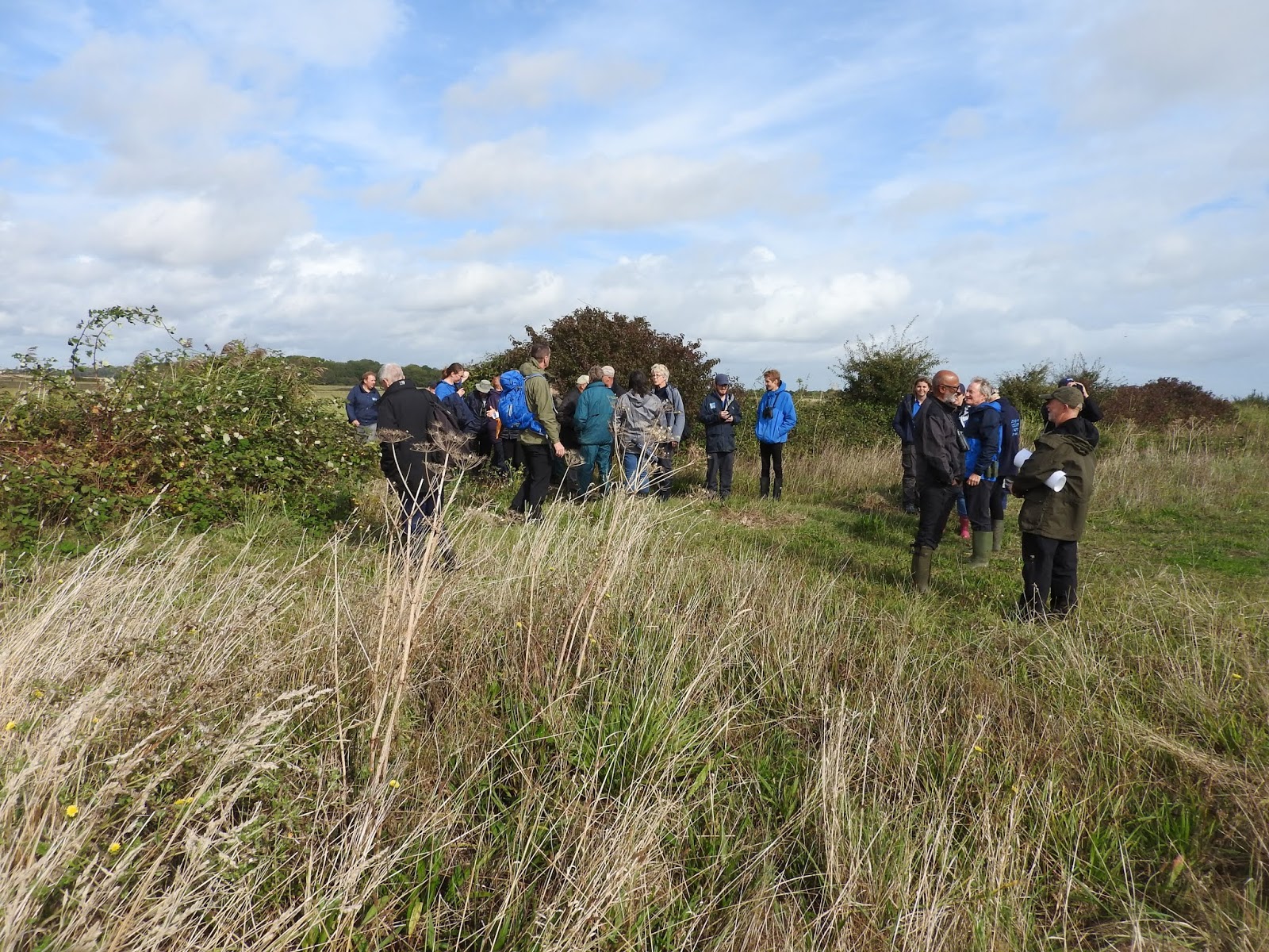 Plovers Blog Lydden Valley