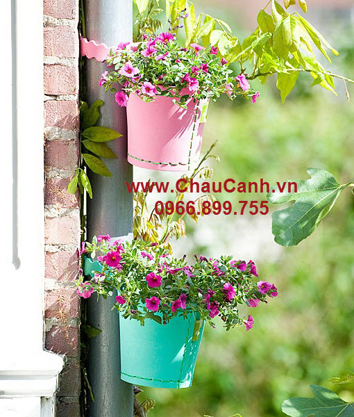 Chuyên cung cấp các loại chậu hoa đẹp Greenbo trên Toàn quốc 2