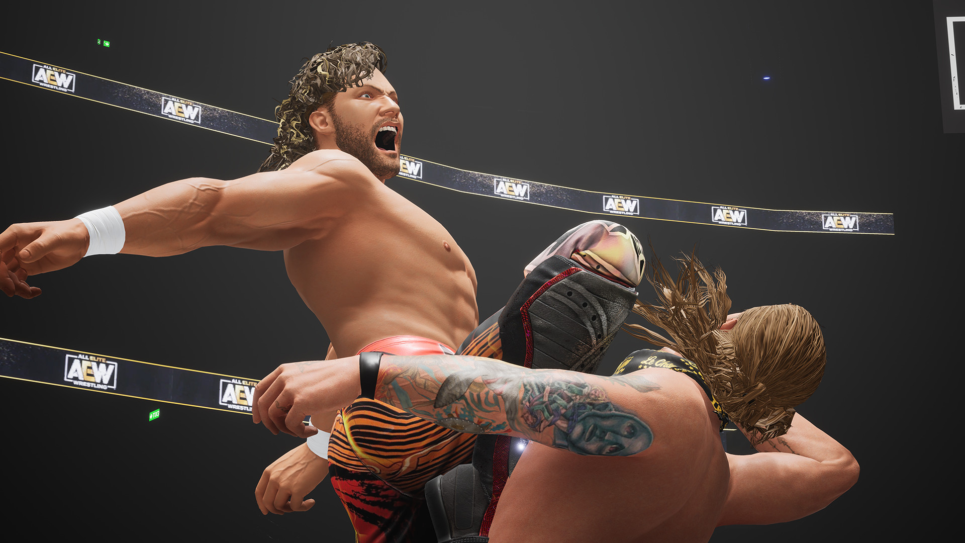 aew-fight-forever-elite-edition-pc-screenshot-3