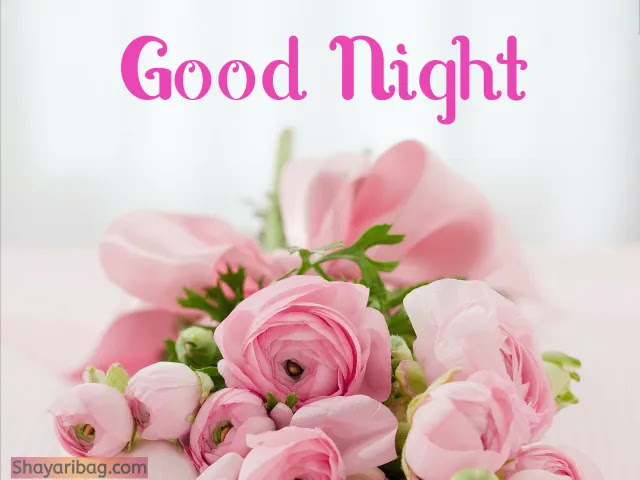 Good Night Images Good Night Images