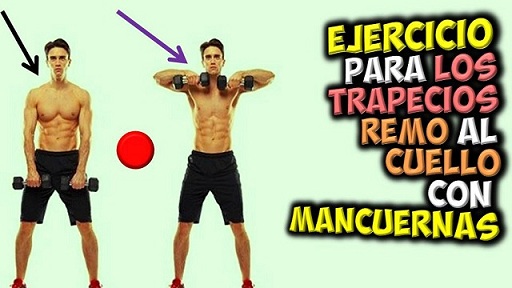 Banco Inclinado Trapecio Con Mancuerna Encogimientos De Hombro Con