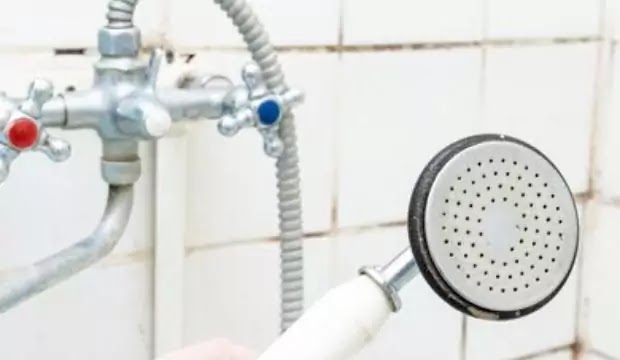 Shower Head