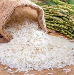 Các loại gạo khác nhau và cách sử dụng phù hợp