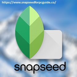 snapseed online download snapseed online download