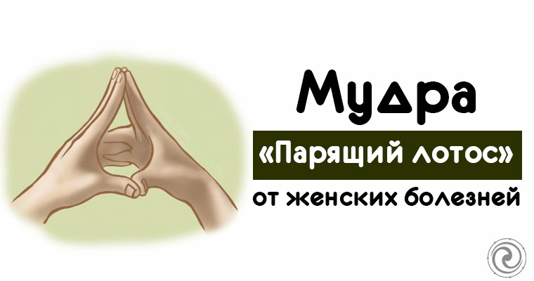 мудра парящий лотос от женских болезней. мудра от женских болезней. мудра лотос от женских болезней. мудра лотоса. мудра лотоса.