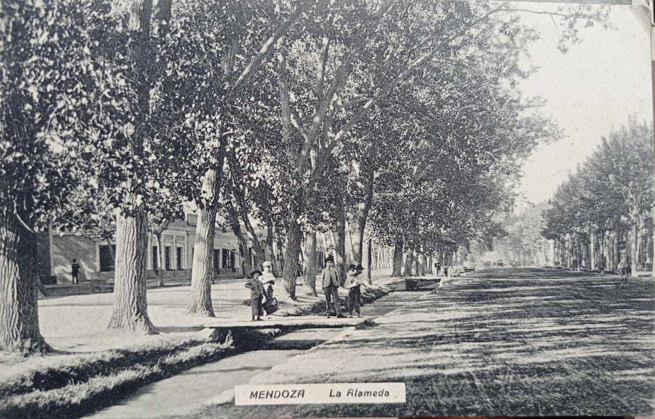Postal de la Alameda. Ciudad de Mendoza. Principios Siglo XX Fotos