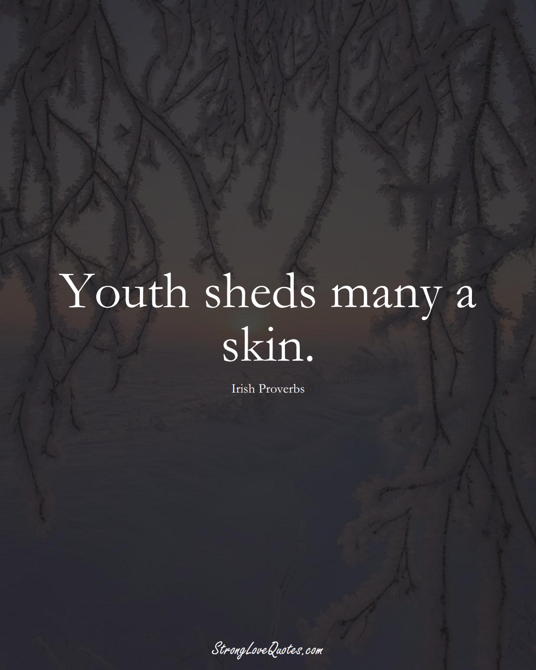 Youth sheds many a skin. (Irish Sayings);  #EuropeanSayings