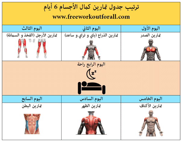 جدول تمارين كمال الاجسام 6 ايام