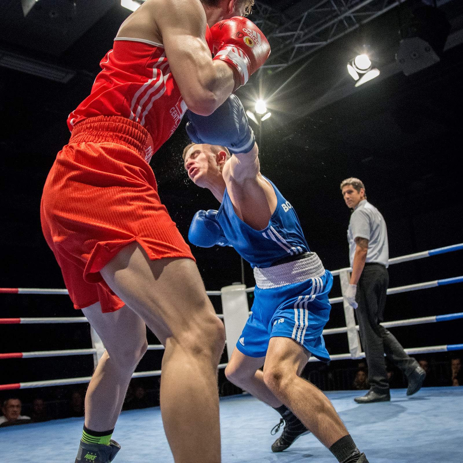 TageBilder: Boxen – Boxing VS gegen Irland – Das war die Boxgala am 15 ...