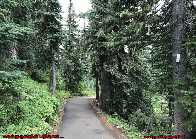 Nisqually Vista Trail