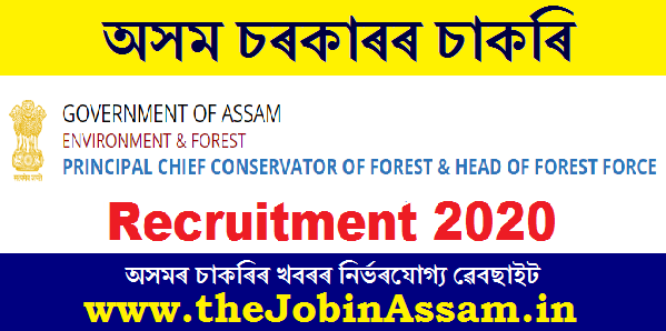 State CAMPA, Assam Recruitment 2020: Apply for GIS Expert Post