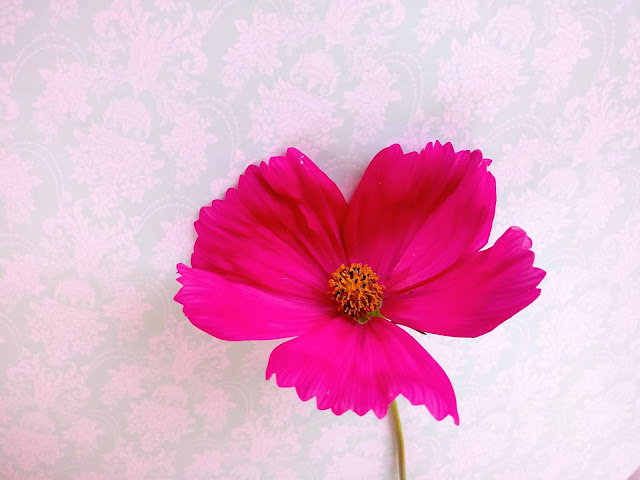 Composición floral con flor de color fucsia