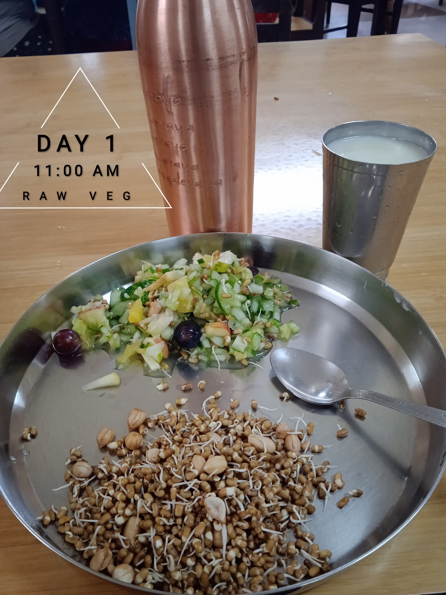 Food, Diet Plan & Treatments Shantivana, SDM Yoga & Nature Cure!! 2