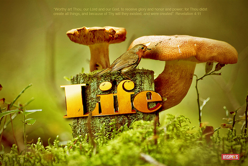 Christmas Cards 2012: High Quality Christian Wallpapers for PC & Mobile